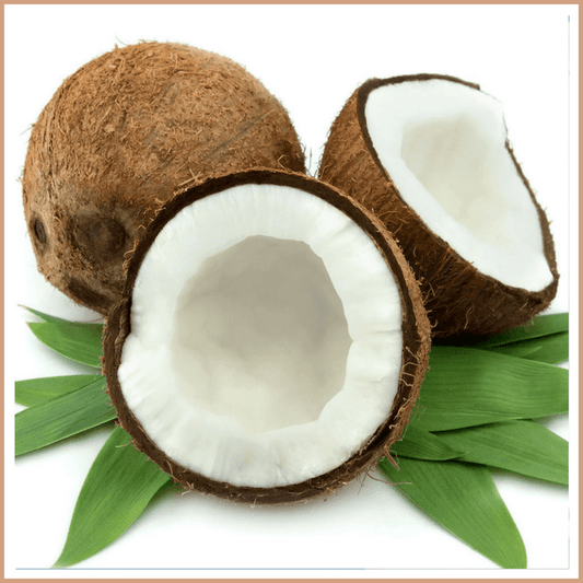 Coconut